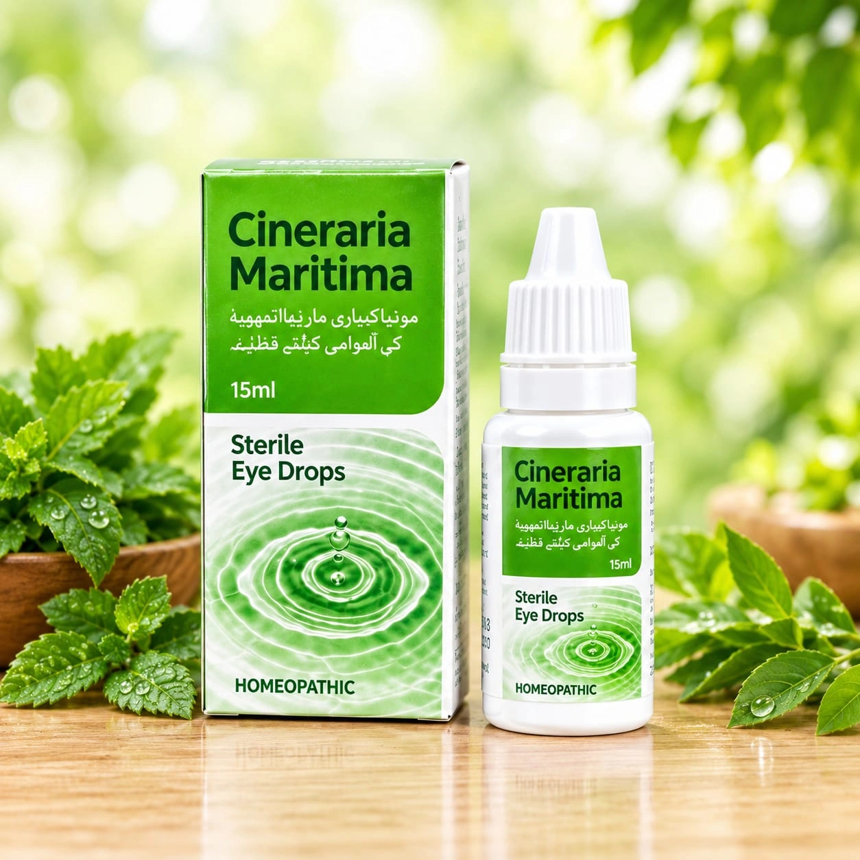 Cineraria Maritima - 15ml